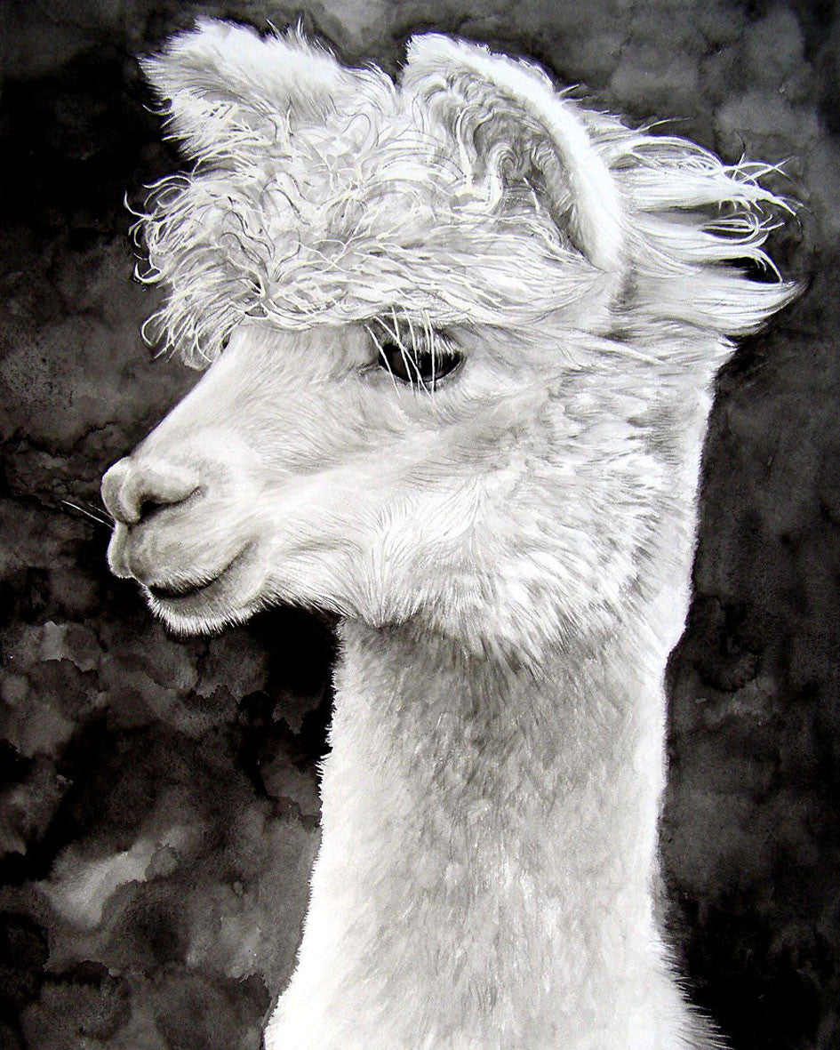 Original Wildlife Paintings