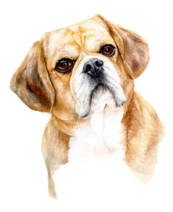 A4 Pet Portrait