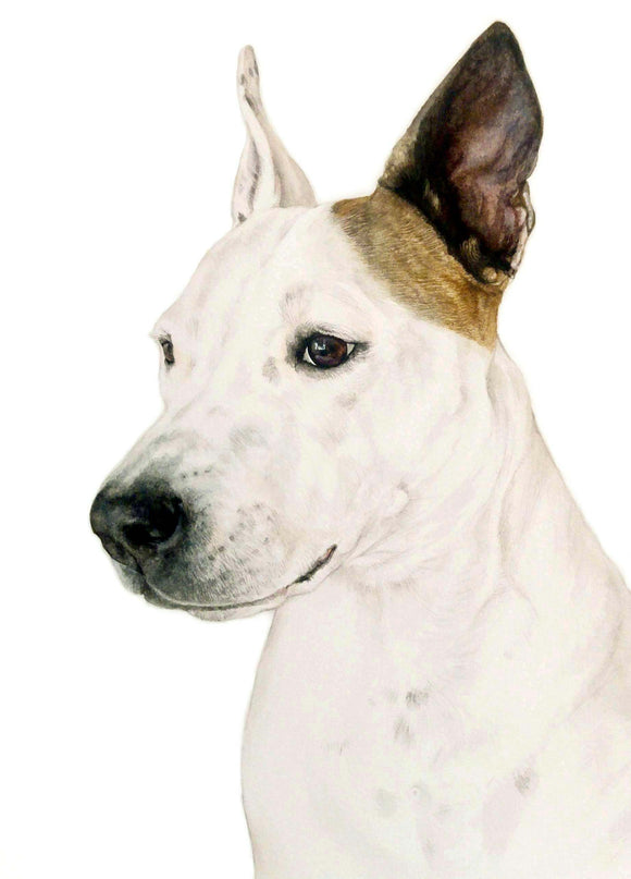 A3 Pet Portrait