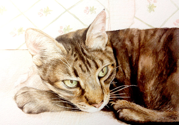 A4 Pet Portrait