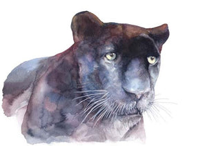 Panther